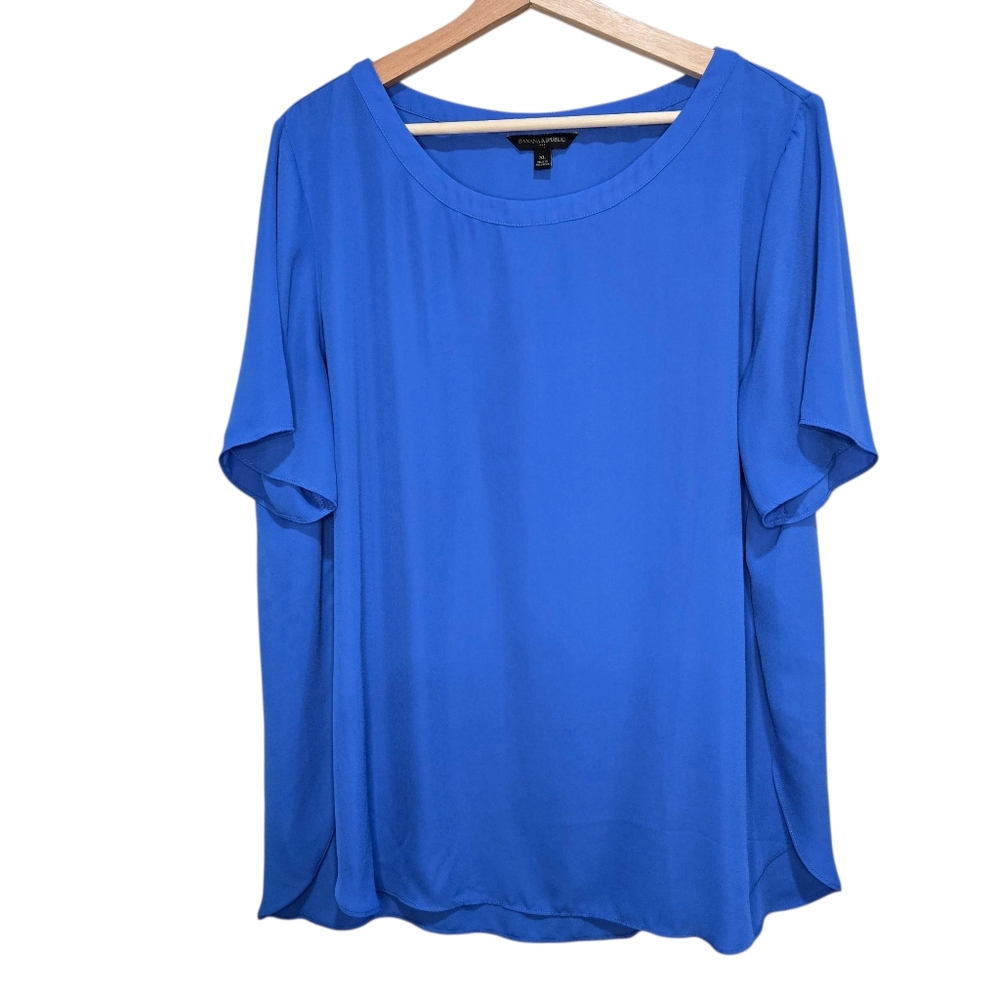 Banana Republic  Blue Sheer Blouse